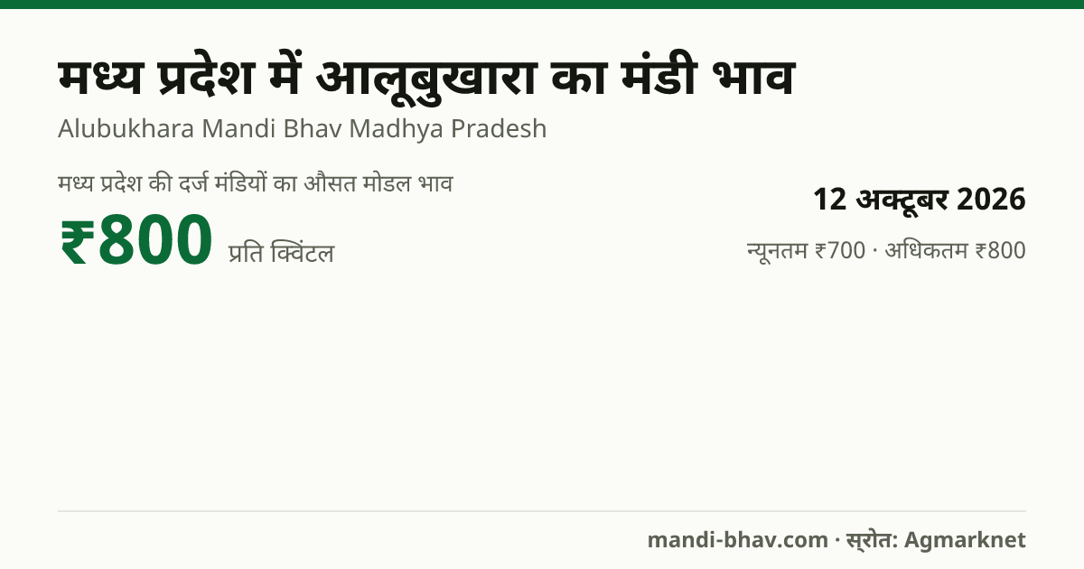 मध्य प्रदेश में आलूबुखारा का मंडी भाव 12 अक्टूबर 2026: औसत मोडल ₹800 प्रति क्विंटल, भाव के रुझान का चार्ट