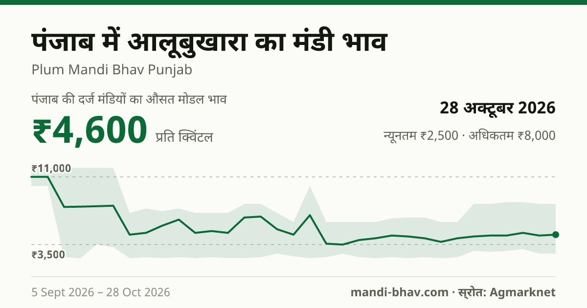 पंजाब में आलूबुखारा का मंडी भाव 28 अक्टूबर 2026: औसत मोडल ₹4,600 प्रति क्विंटल, भाव के रुझान का चार्ट