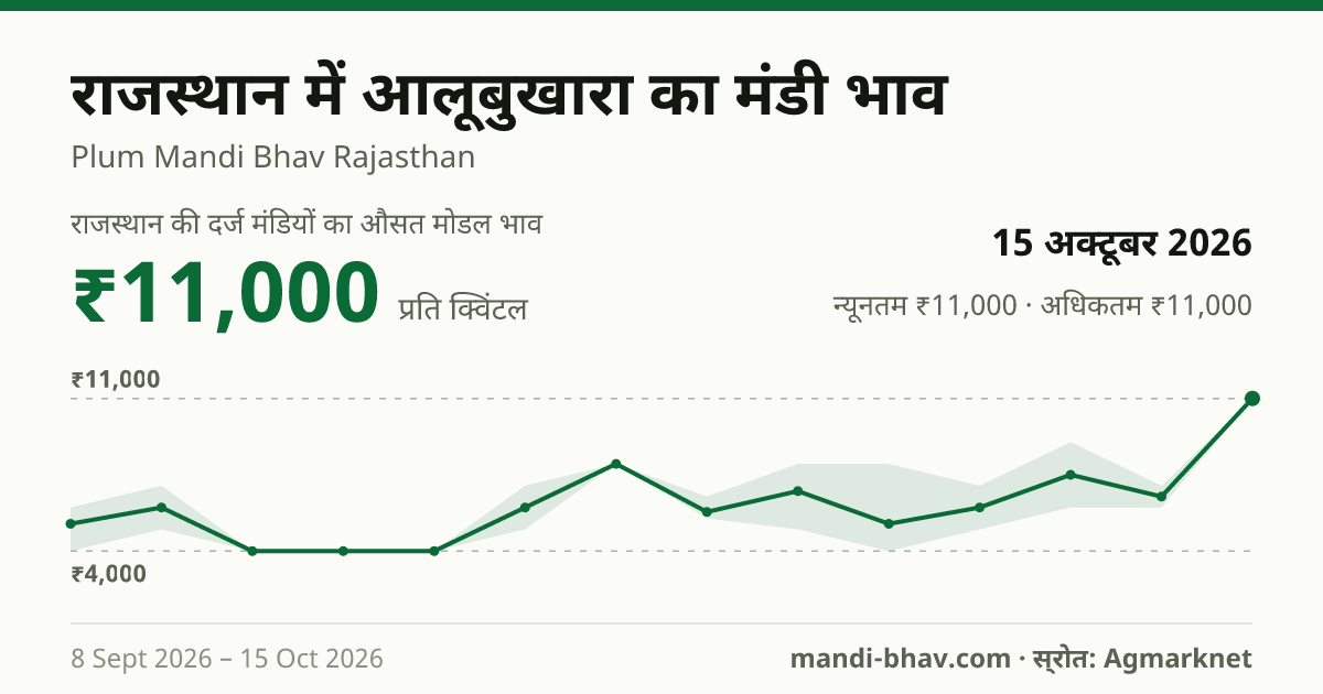 राजस्थान में आलूबुखारा का मंडी भाव 15 अक्टूबर 2026: औसत मोडल ₹11,000 प्रति क्विंटल, भाव के रुझान का चार्ट
