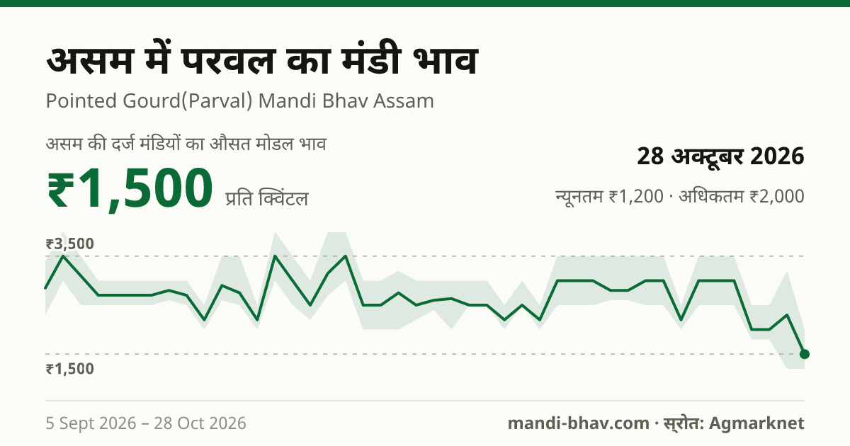 असम में परवल का मंडी भाव 28 अक्टूबर 2026: औसत मोडल ₹1,500 प्रति क्विंटल, भाव के रुझान का चार्ट