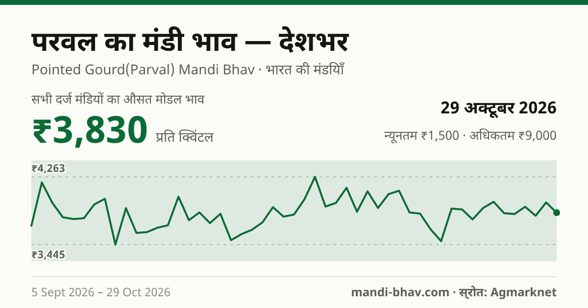 देशभर में परवल का मंडी भाव 29 अक्टूबर 2026: औसत मोडल ₹3,831 प्रति क्विंटल, भाव के रुझान का चार्ट