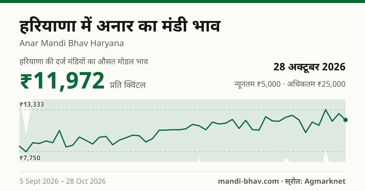 हरियाणा में अनार का मंडी भाव 28 अक्टूबर 2026: औसत मोडल ₹11,972 प्रति क्विंटल, भाव के रुझान का चार्ट