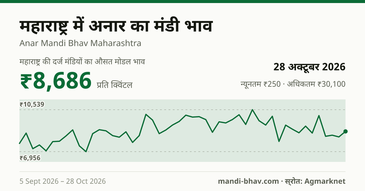 महाराष्ट्र में अनार का मंडी भाव 28 अक्टूबर 2026: औसत मोडल ₹8,686 प्रति क्विंटल, भाव के रुझान का चार्ट