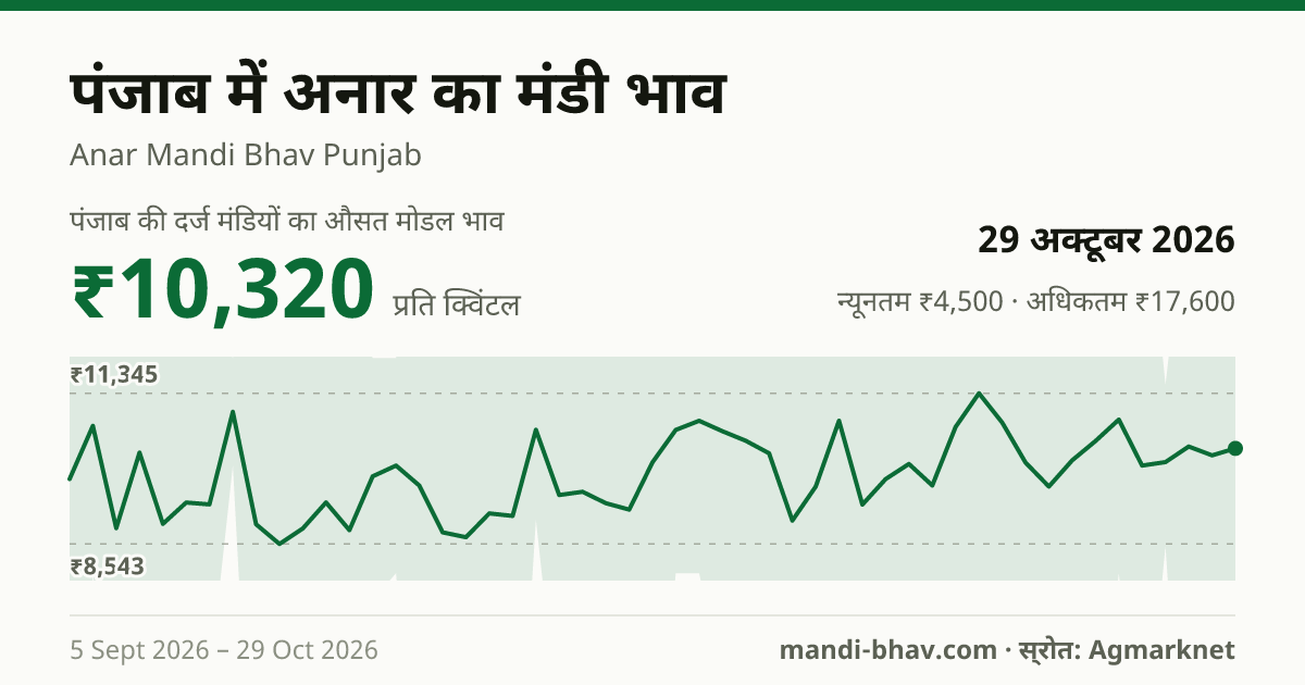 पंजाब में अनार का मंडी भाव 29 अक्टूबर 2026: औसत मोडल ₹7,000 प्रति क्विंटल, भाव के रुझान का चार्ट