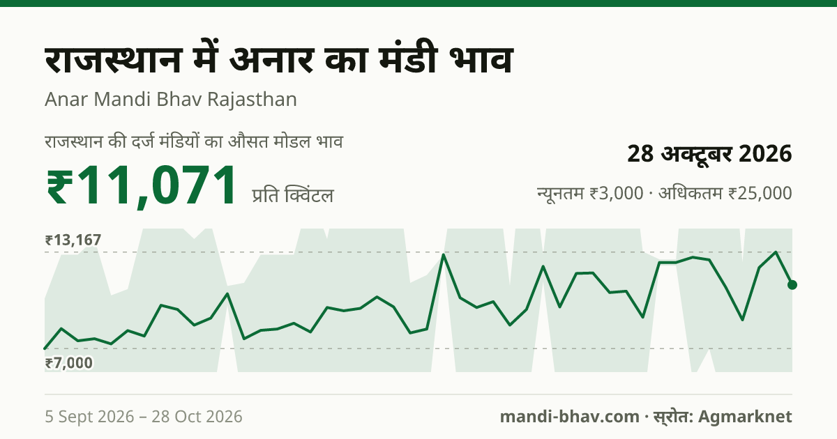 राजस्थान में अनार का मंडी भाव 28 अक्टूबर 2026: औसत मोडल ₹11,071 प्रति क्विंटल, भाव के रुझान का चार्ट