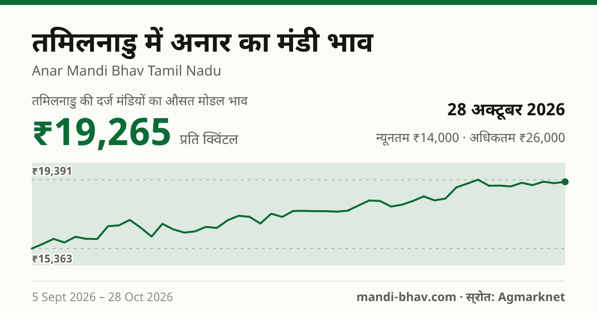 तमिलनाडु में अनार का मंडी भाव 28 अक्टूबर 2026: औसत मोडल ₹19,670 प्रति क्विंटल, भाव के रुझान का चार्ट
