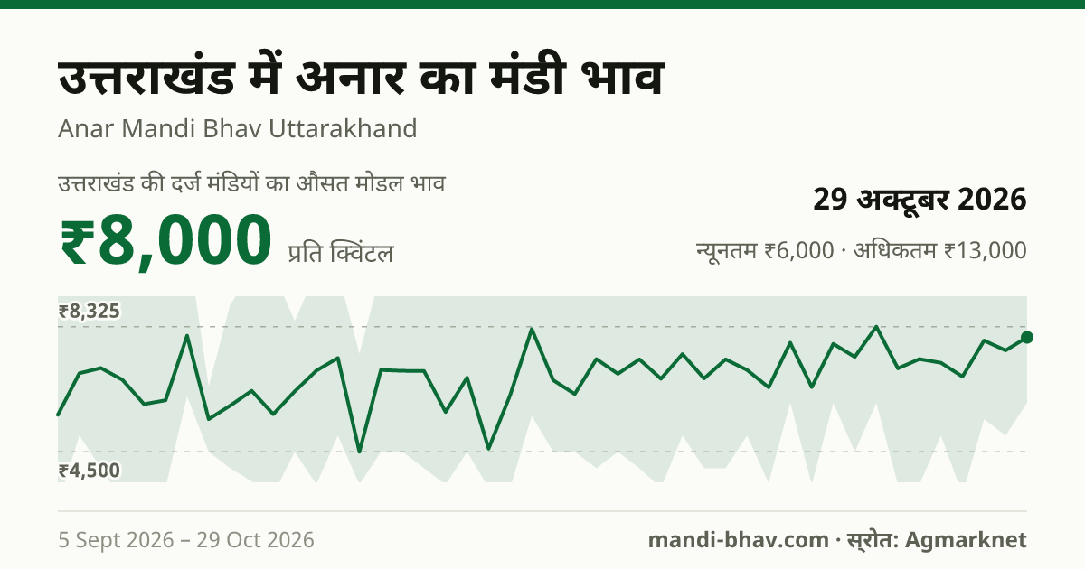 उत्तराखंड में अनार का मंडी भाव 29 अक्टूबर 2026: औसत मोडल ₹8,000 प्रति क्विंटल, भाव के रुझान का चार्ट