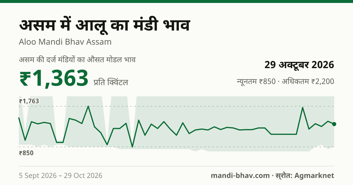 असम में आलू का मंडी भाव 29 अक्टूबर 2026: औसत मोडल ₹1,363 प्रति क्विंटल, भाव के रुझान का चार्ट