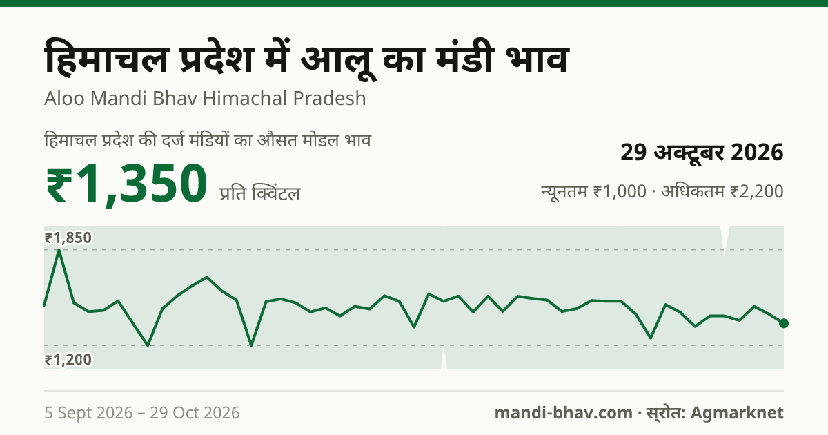 हिमाचल प्रदेश में आलू का मंडी भाव 29 अक्टूबर 2026: औसत मोडल ₹1,350 प्रति क्विंटल, भाव के रुझान का चार्ट