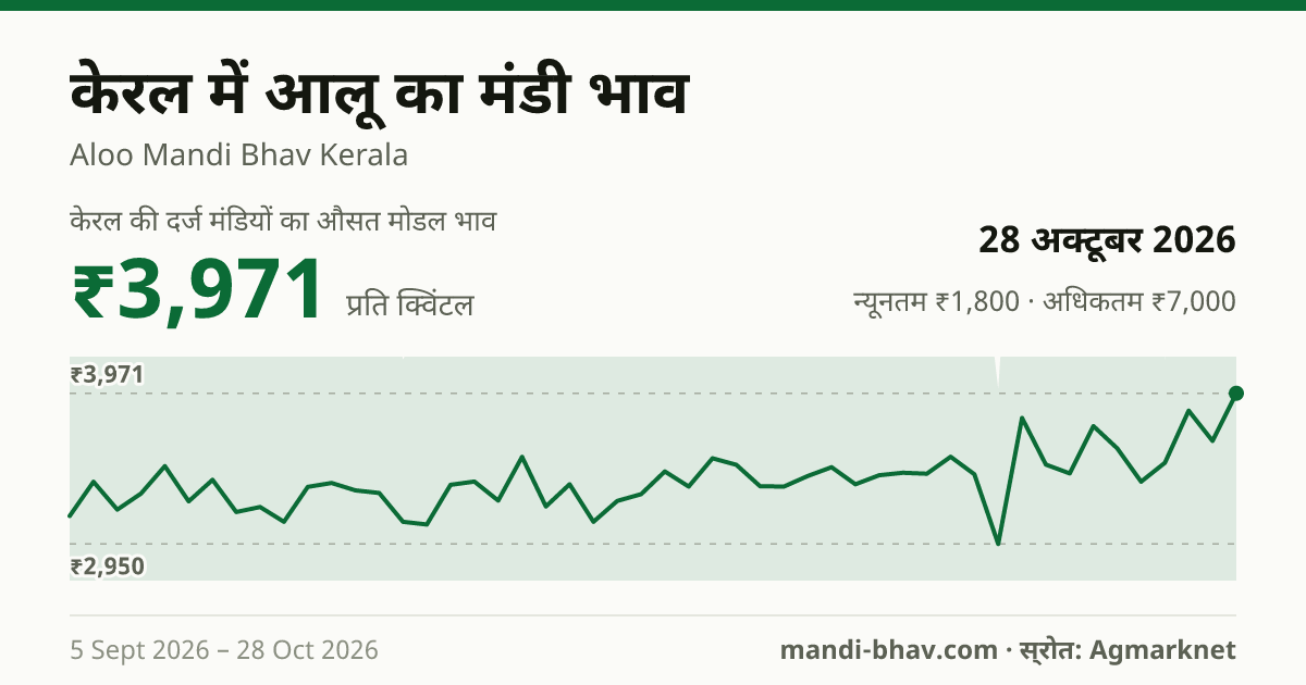 केरल में आलू का मंडी भाव 28 अक्टूबर 2026: औसत मोडल ₹3,971 प्रति क्विंटल, भाव के रुझान का चार्ट