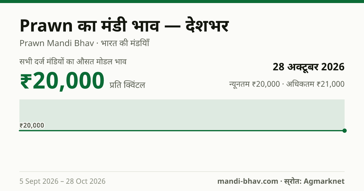 देशभर में Prawn का मंडी भाव 28 अक्टूबर 2026: औसत मोडल ₹20,000 प्रति क्विंटल, भाव के रुझान का चार्ट