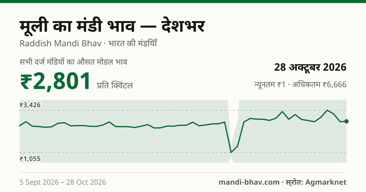 देशभर में मूली का मंडी भाव 28 अक्टूबर 2026: औसत मोडल ₹2,801 प्रति क्विंटल, भाव के रुझान का चार्ट