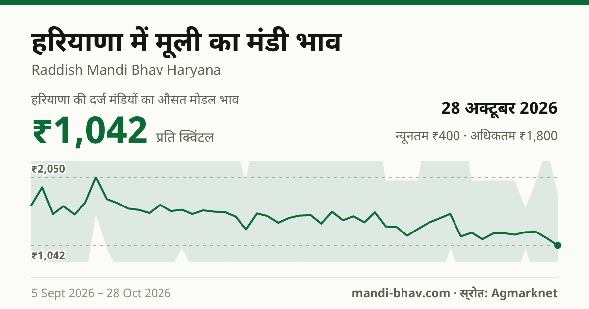 हरियाणा में मूली का मंडी भाव 28 अक्टूबर 2026: औसत मोडल ₹1,042 प्रति क्विंटल, भाव के रुझान का चार्ट