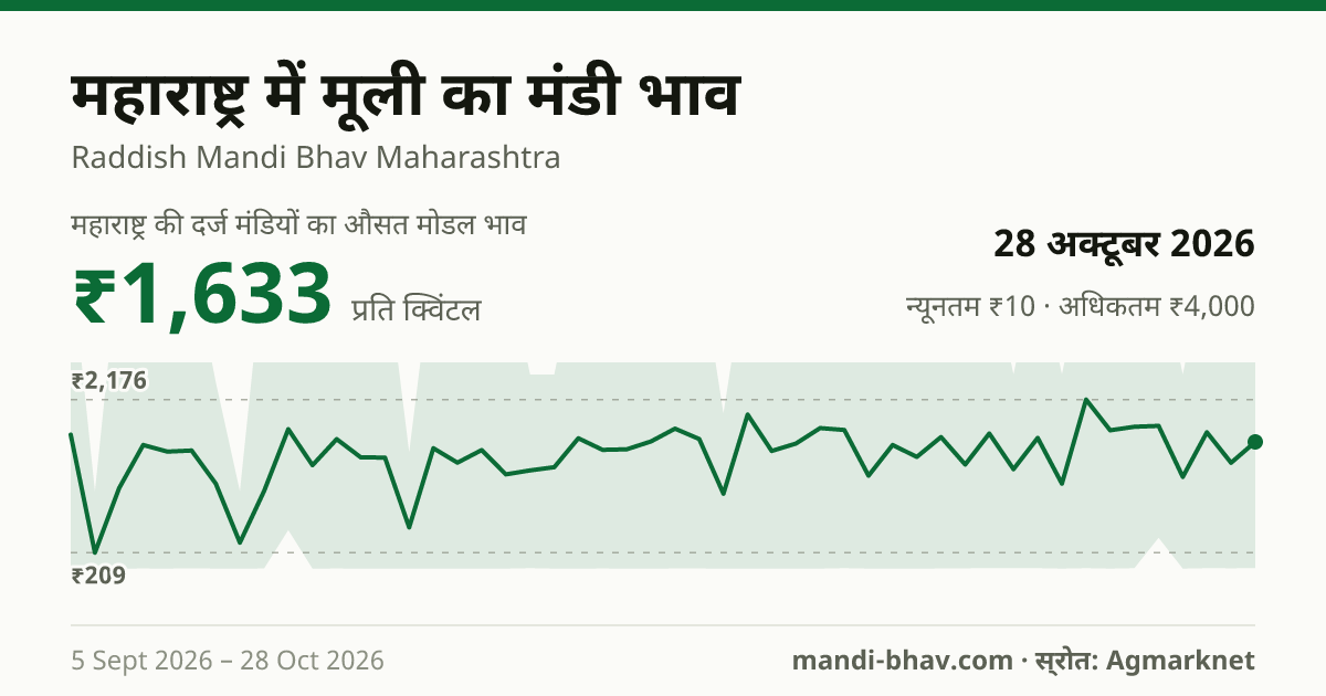 महाराष्ट्र में मूली का मंडी भाव 28 अक्टूबर 2026: औसत मोडल ₹1,633 प्रति क्विंटल, भाव के रुझान का चार्ट