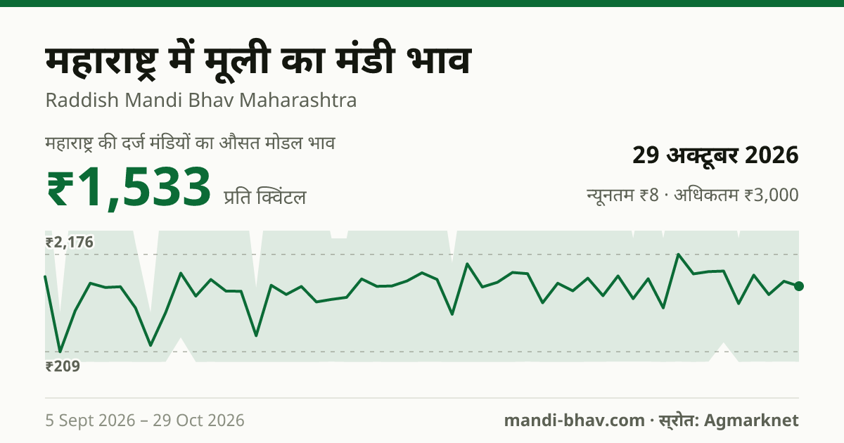 महाराष्ट्र में मूली का मंडी भाव 29 अक्टूबर 2026: औसत मोडल ₹1,059 प्रति क्विंटल, भाव के रुझान का चार्ट