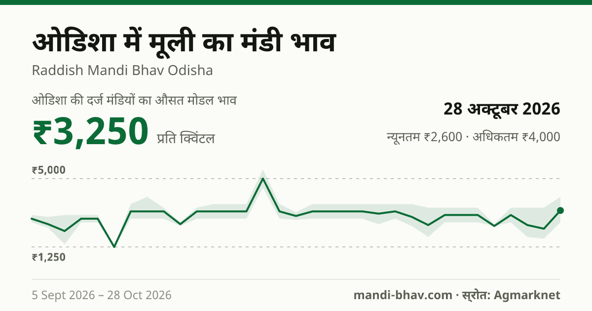 ओडिशा में मूली का मंडी भाव 28 अक्टूबर 2026: औसत मोडल ₹3,250 प्रति क्विंटल, भाव के रुझान का चार्ट
