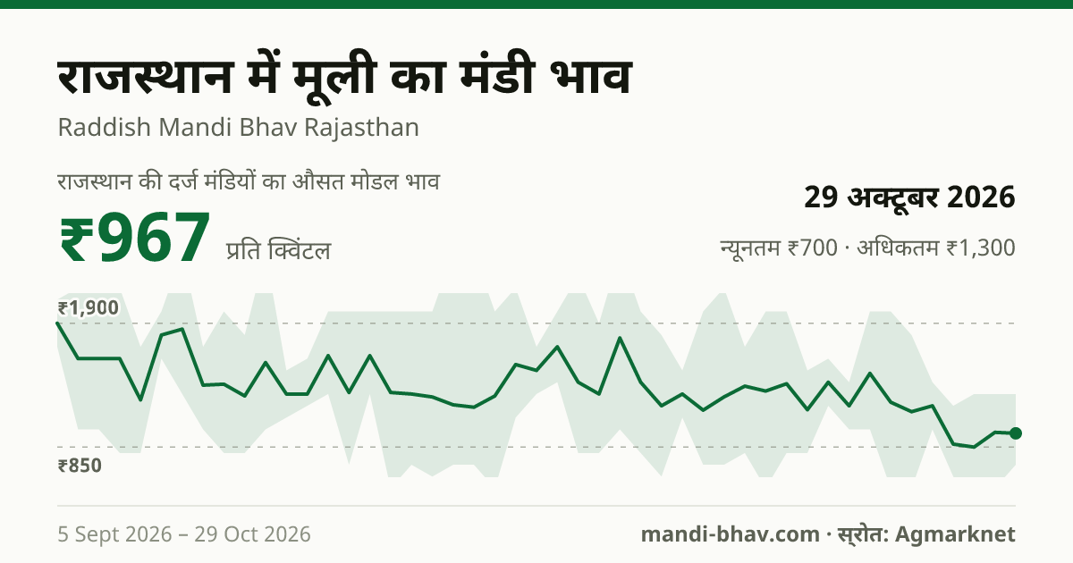 राजस्थान में मूली का मंडी भाव 29 अक्टूबर 2026: औसत मोडल ₹950 प्रति क्विंटल, भाव के रुझान का चार्ट