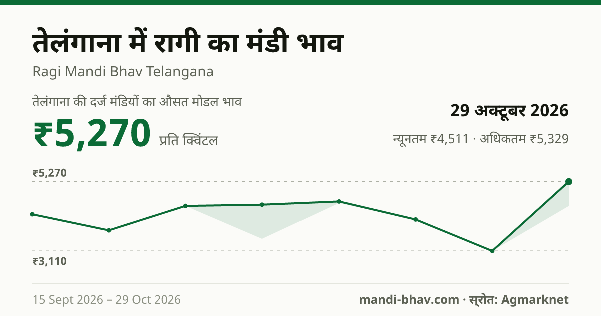 तेलंगाना में रागी का मंडी भाव 29 अक्टूबर 2026: औसत मोडल ₹5,270 प्रति क्विंटल, भाव के रुझान का चार्ट