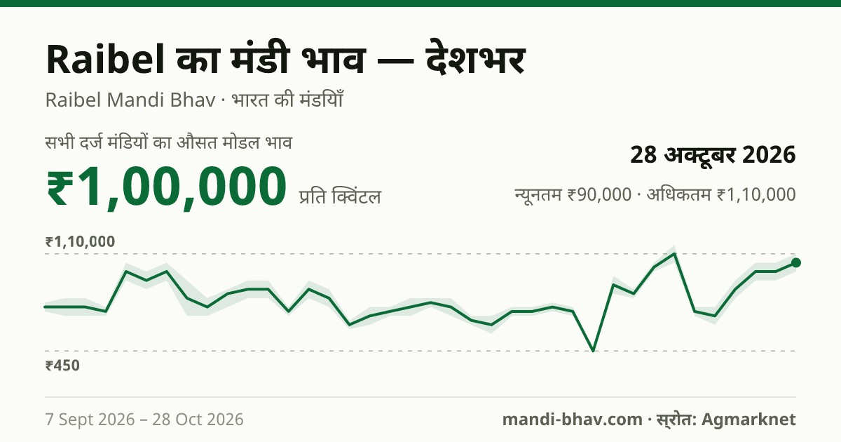 देशभर में Raibel का मंडी भाव 28 अक्टूबर 2026: औसत मोडल ₹1,00,000 प्रति क्विंटल, भाव के रुझान का चार्ट