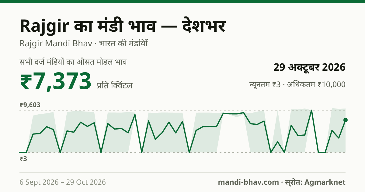 देशभर में Rajgir का मंडी भाव 29 अक्टूबर 2026: औसत मोडल ₹7,373 प्रति क्विंटल, भाव के रुझान का चार्ट