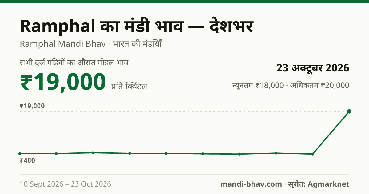 देशभर में Ramphal का मंडी भाव 23 अक्टूबर 2026: औसत मोडल ₹19,000 प्रति क्विंटल, भाव के रुझान का चार्ट