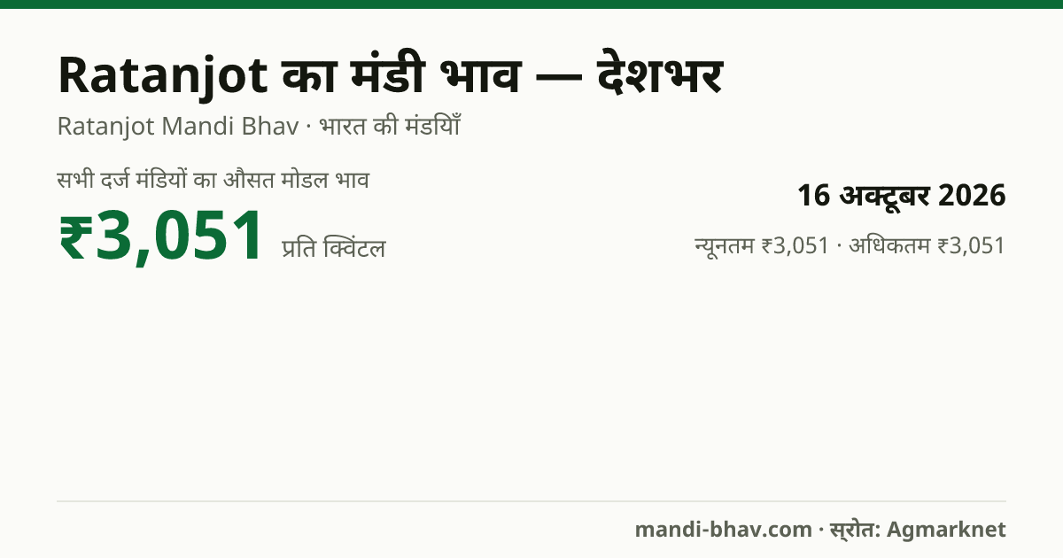 देशभर में Ratanjot का मंडी भाव 16 अक्टूबर 2026: औसत मोडल ₹3,051 प्रति क्विंटल, भाव के रुझान का चार्ट