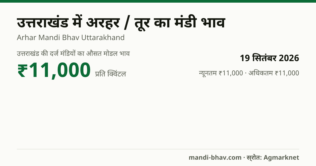 उत्तराखंड में अरहर / तूर का मंडी भाव 19 सितंबर 2026: औसत मोडल ₹11,000 प्रति क्विंटल, भाव के रुझान का चार्ट