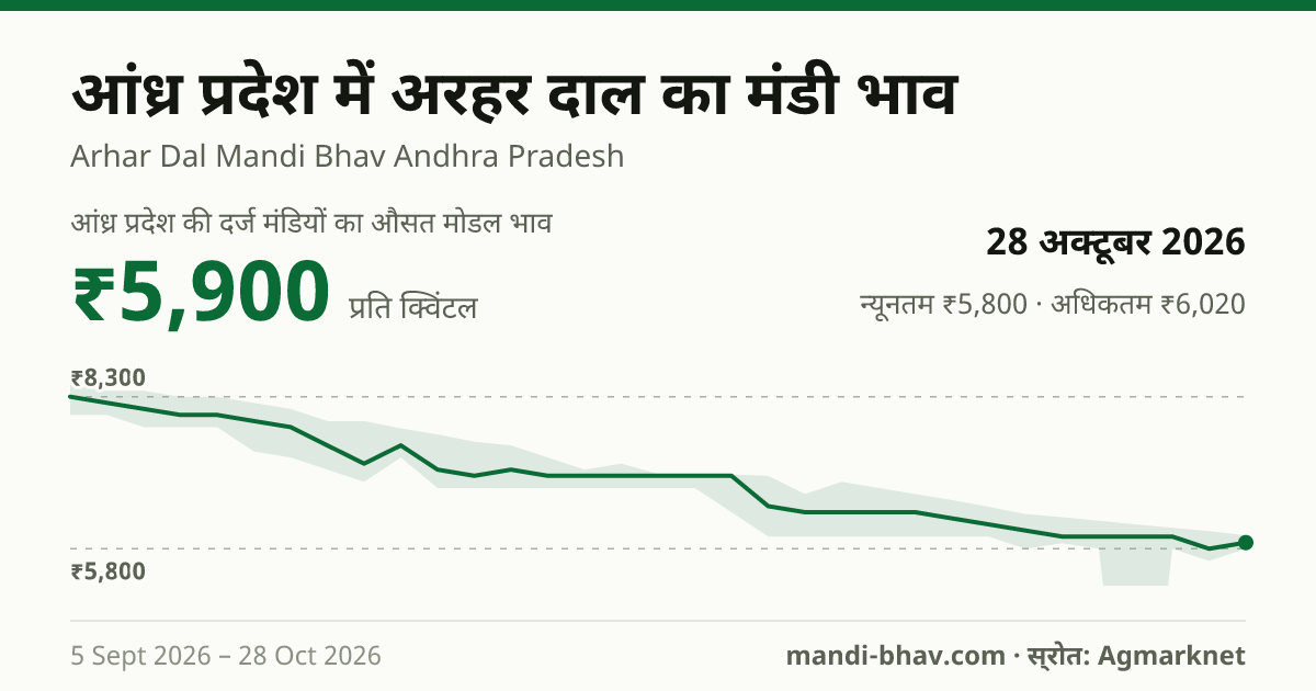 आंध्र प्रदेश में अरहर दाल का मंडी भाव 28 अक्टूबर 2026: औसत मोडल ₹5,900 प्रति क्विंटल, भाव के रुझान का चार्ट