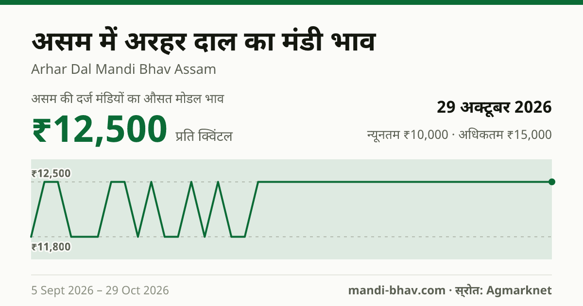 असम में अरहर दाल का मंडी भाव 29 अक्टूबर 2026: औसत मोडल ₹12,500 प्रति क्विंटल, भाव के रुझान का चार्ट