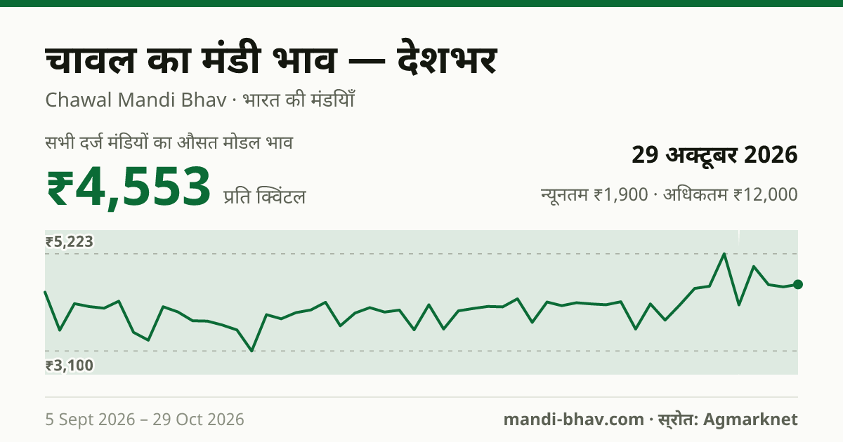 देशभर में चावल का मंडी भाव 29 अक्टूबर 2026: औसत मोडल ₹4,553 प्रति क्विंटल, भाव के रुझान का चार्ट