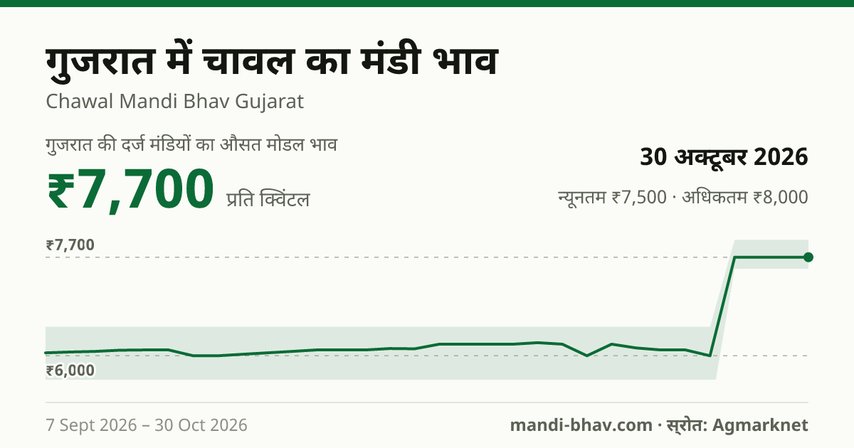 गुजरात में चावल का मंडी भाव 30 अक्टूबर 2026: औसत मोडल ₹7,700 प्रति क्विंटल, भाव के रुझान का चार्ट