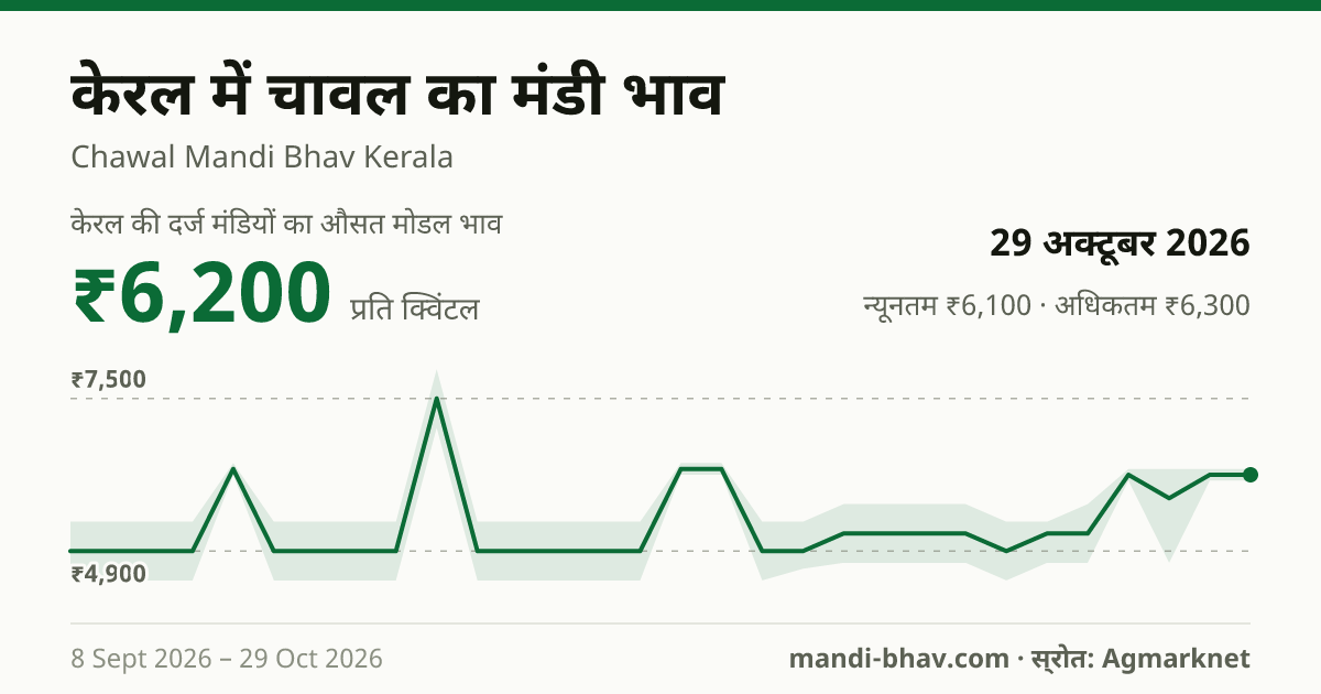 केरल में चावल का मंडी भाव 29 अक्टूबर 2026: औसत मोडल ₹6,200 प्रति क्विंटल, भाव के रुझान का चार्ट