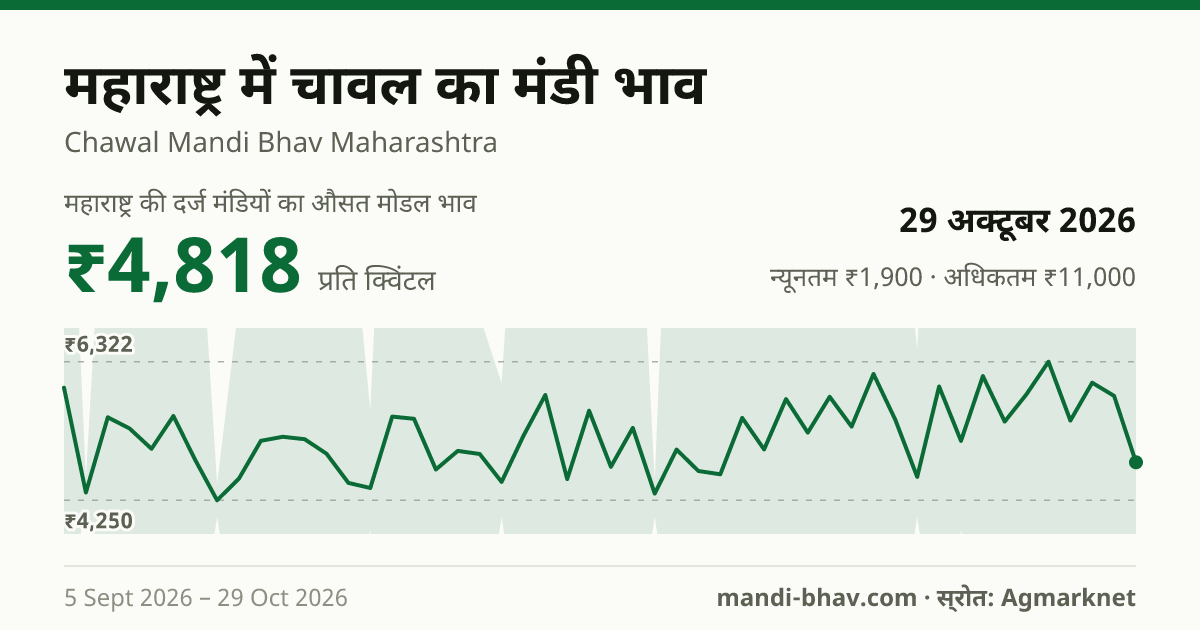 महाराष्ट्र में चावल का मंडी भाव 29 अक्टूबर 2026: औसत मोडल ₹4,122 प्रति क्विंटल, भाव के रुझान का चार्ट