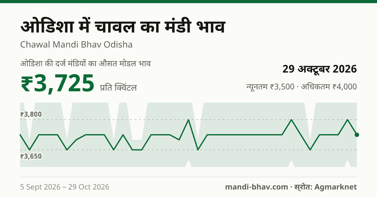 ओडिशा में चावल का मंडी भाव 29 अक्टूबर 2026: औसत मोडल ₹3,725 प्रति क्विंटल, भाव के रुझान का चार्ट