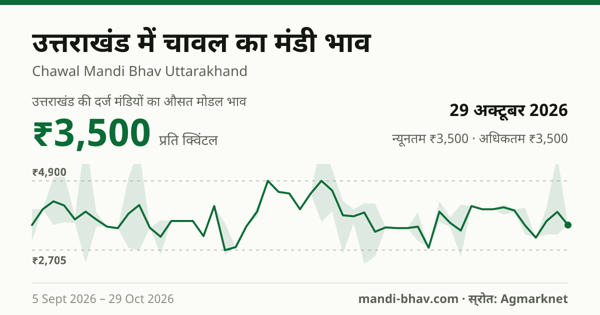 उत्तराखंड में चावल का मंडी भाव 29 अक्टूबर 2026: औसत मोडल ₹3,500 प्रति क्विंटल, भाव के रुझान का चार्ट