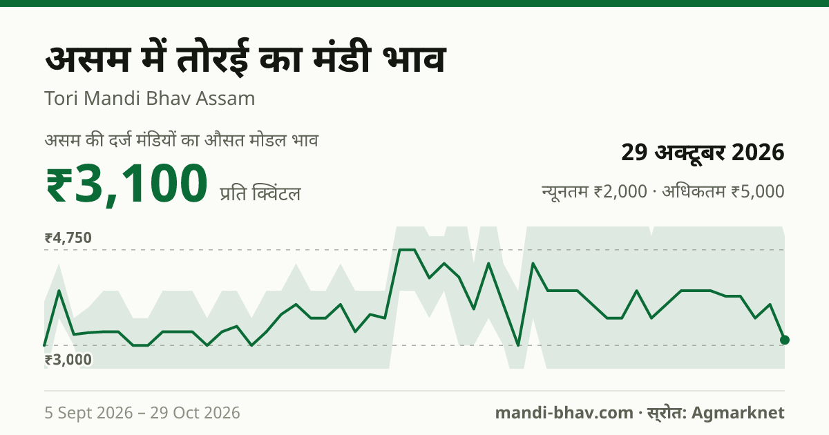 असम में तोरई का मंडी भाव 29 अक्टूबर 2026: औसत मोडल ₹3,100 प्रति क्विंटल, भाव के रुझान का चार्ट