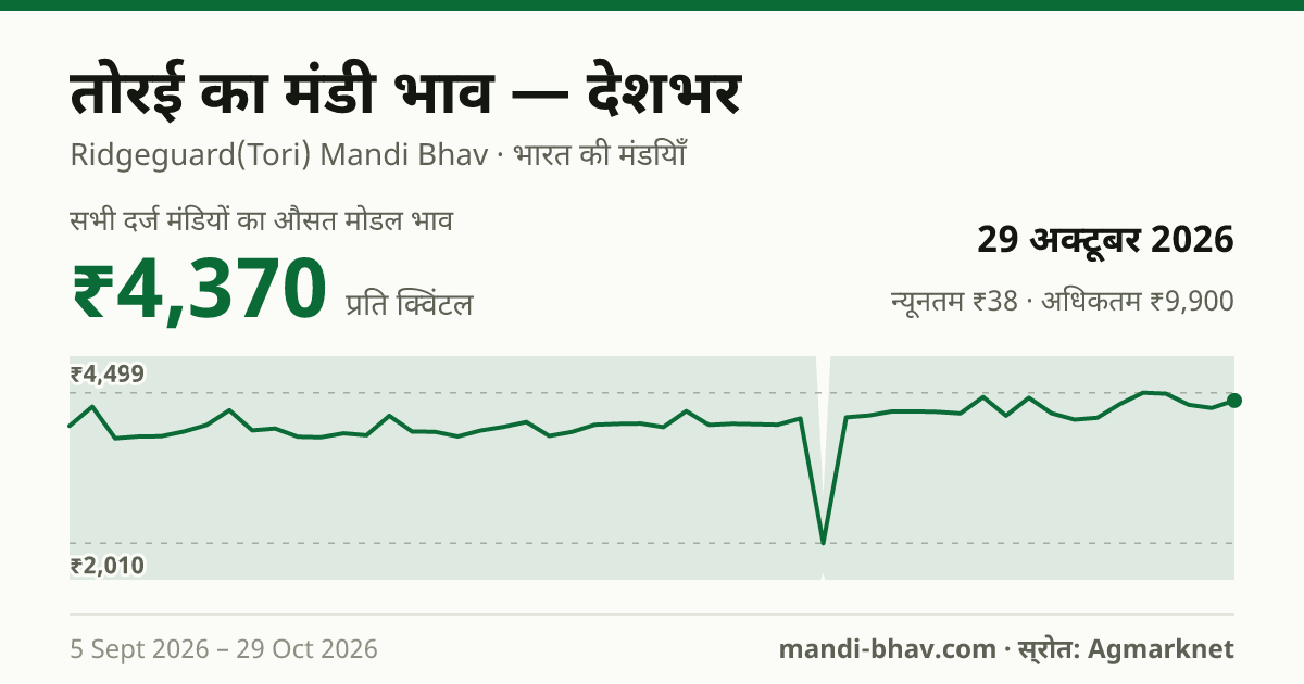 देशभर में तोरई का मंडी भाव 29 अक्टूबर 2026: औसत मोडल ₹4,526 प्रति क्विंटल, भाव के रुझान का चार्ट