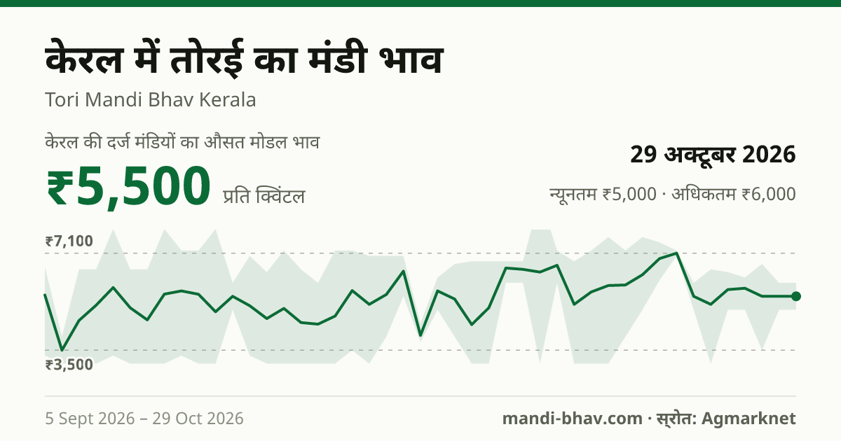 केरल में तोरई का मंडी भाव 29 अक्टूबर 2026: औसत मोडल ₹5,500 प्रति क्विंटल, भाव के रुझान का चार्ट