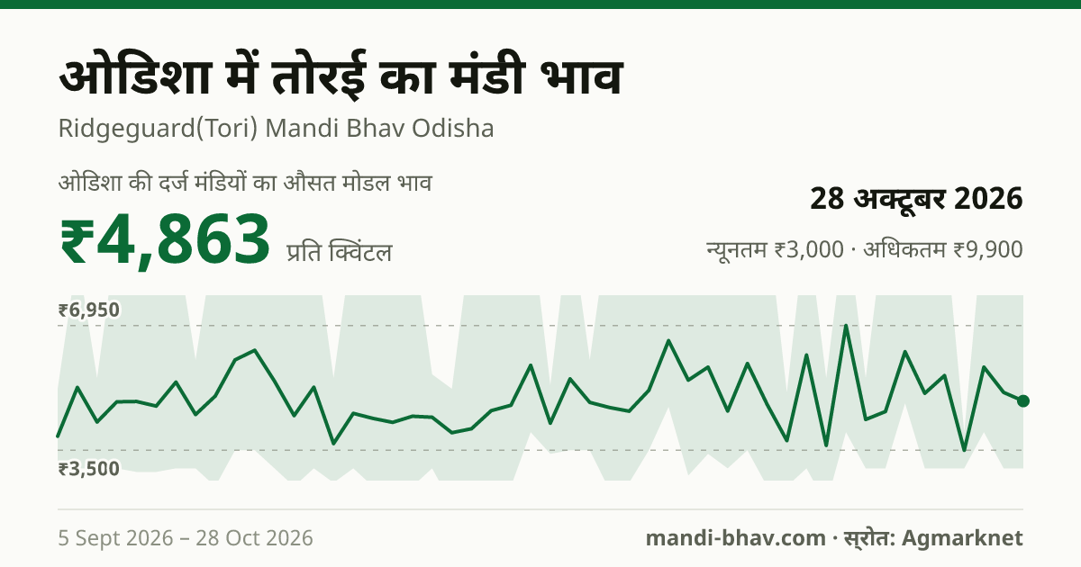 ओडिशा में तोरई का मंडी भाव 28 अक्टूबर 2026: औसत मोडल ₹5,150 प्रति क्विंटल, भाव के रुझान का चार्ट