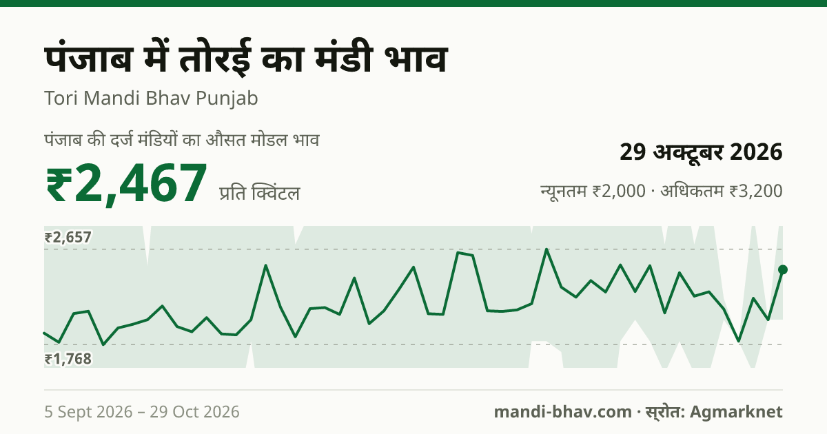 पंजाब में तोरई का मंडी भाव 29 अक्टूबर 2026: औसत मोडल ₹2,467 प्रति क्विंटल, भाव के रुझान का चार्ट