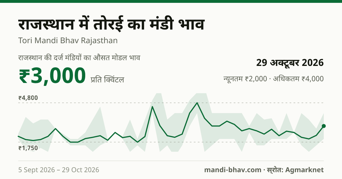 राजस्थान में तोरई का मंडी भाव 29 अक्टूबर 2026: औसत मोडल ₹3,000 प्रति क्विंटल, भाव के रुझान का चार्ट