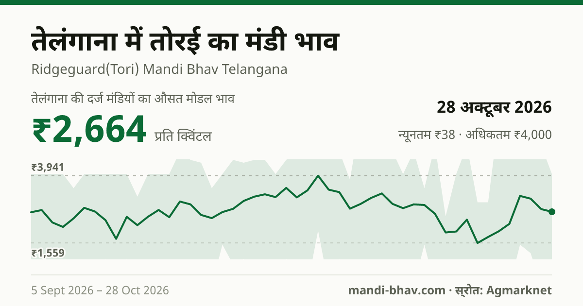तेलंगाना में तोरई का मंडी भाव 28 अक्टूबर 2026: औसत मोडल ₹2,664 प्रति क्विंटल, भाव के रुझान का चार्ट