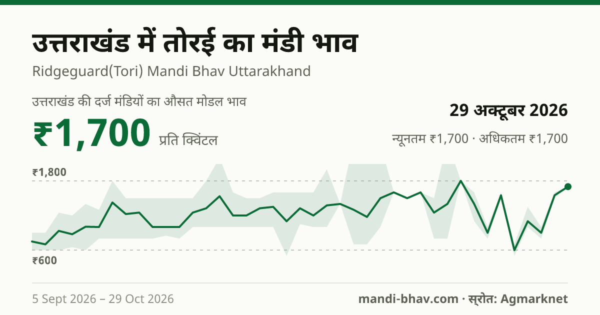उत्तराखंड में तोरई का मंडी भाव 29 अक्टूबर 2026: औसत मोडल ₹1,700 प्रति क्विंटल, भाव के रुझान का चार्ट