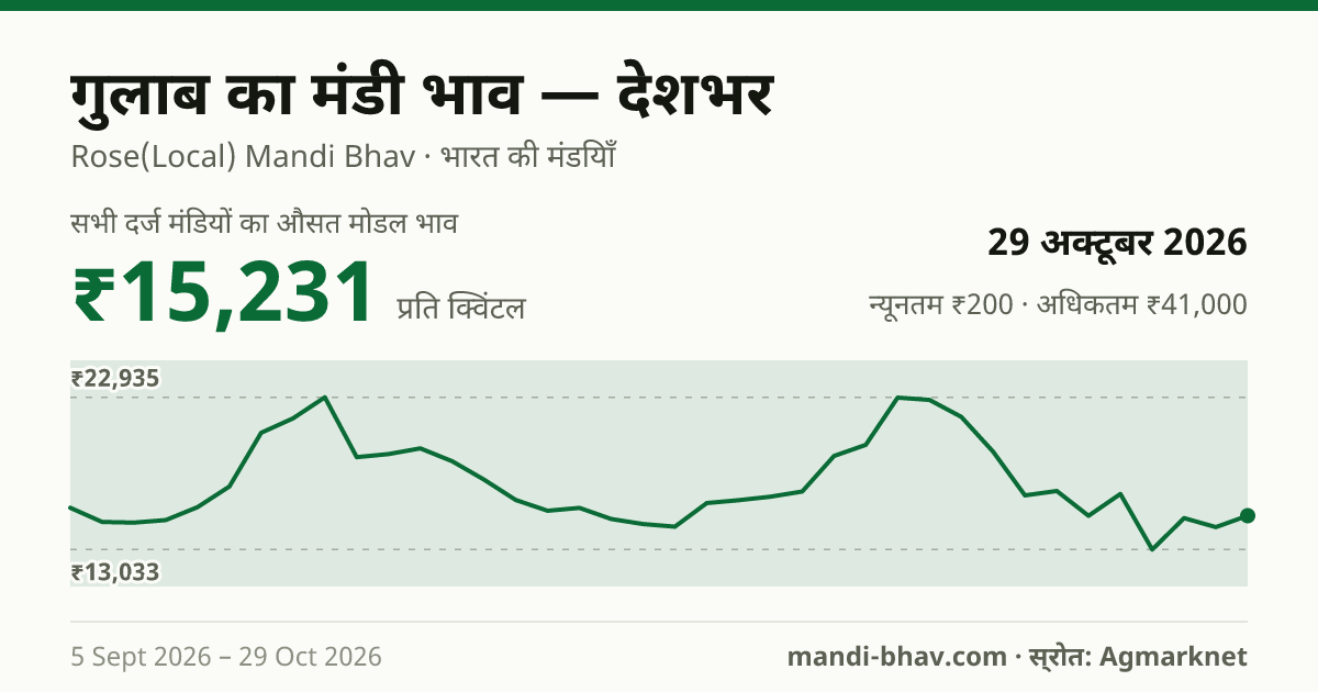 देशभर में गुलाब का मंडी भाव 29 अक्टूबर 2026: औसत मोडल ₹15,421 प्रति क्विंटल, भाव के रुझान का चार्ट