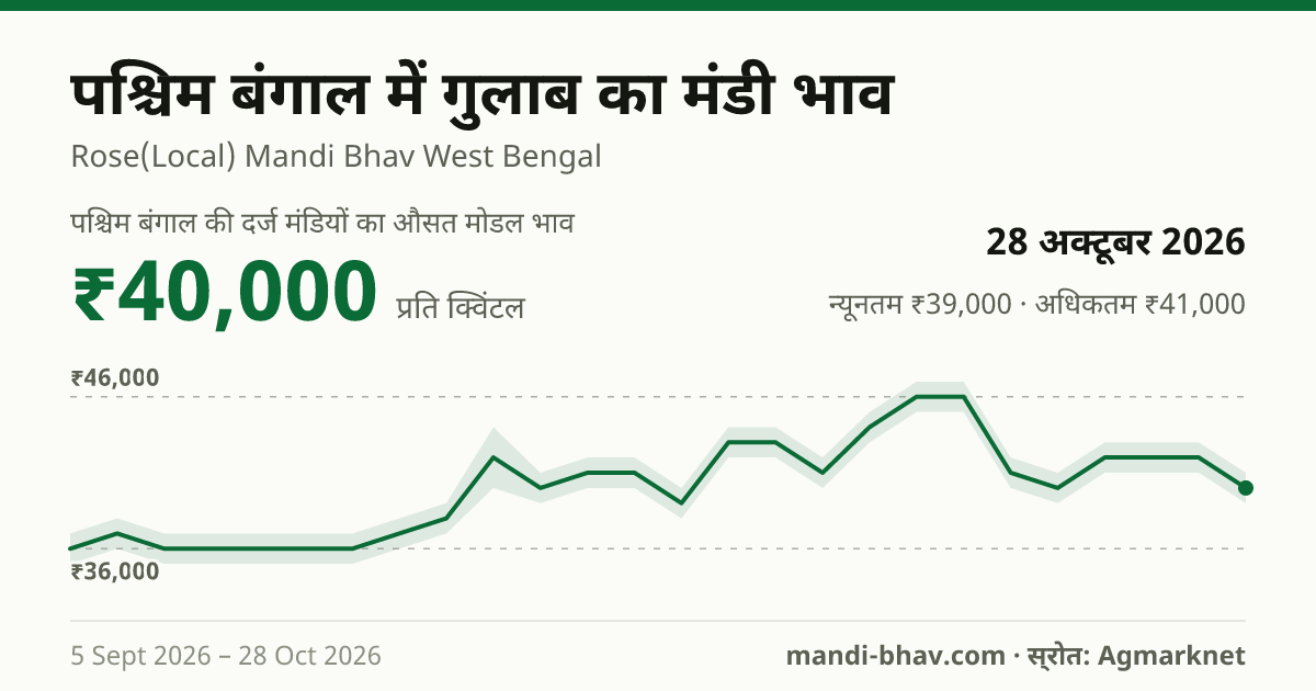 पश्चिम बंगाल में गुलाब का मंडी भाव 28 अक्टूबर 2026: औसत मोडल ₹40,000 प्रति क्विंटल, भाव के रुझान का चार्ट