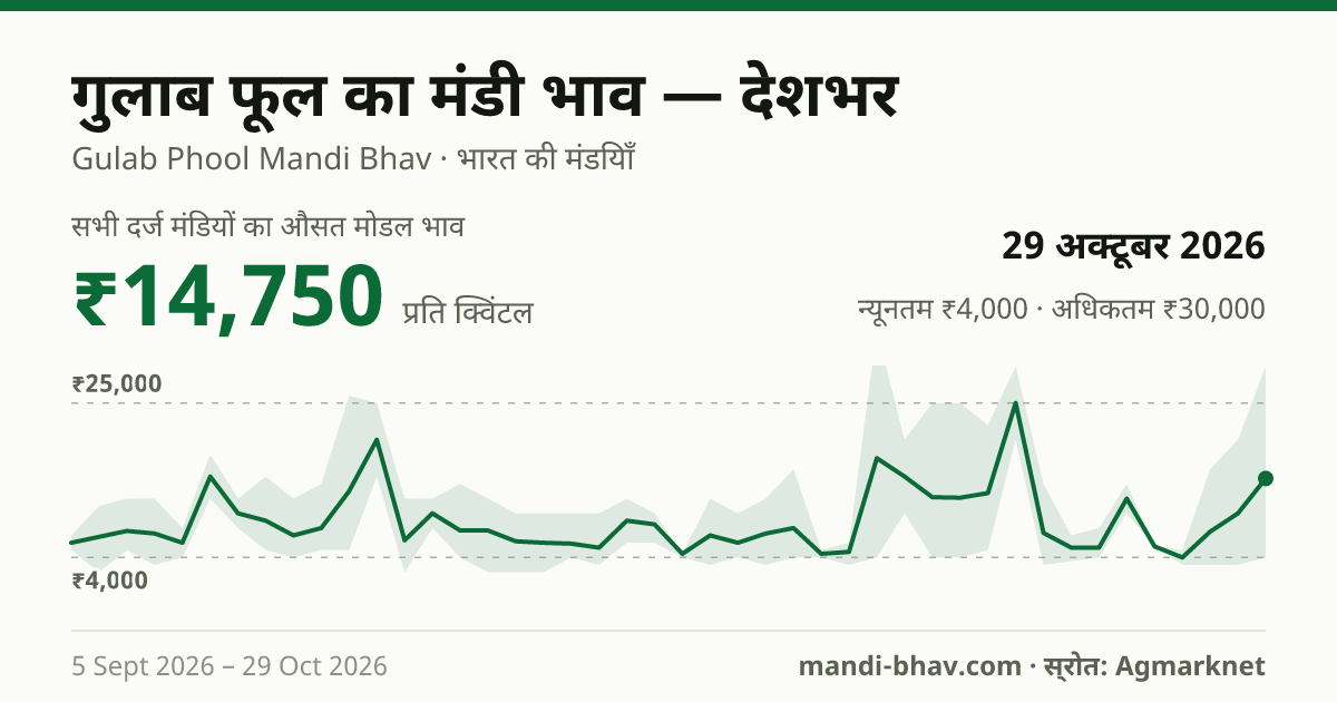 देशभर में Rose(Loose)) का मंडी भाव 29 अक्टूबर 2026: औसत मोडल ₹14,750 प्रति क्विंटल, भाव के रुझान का चार्ट