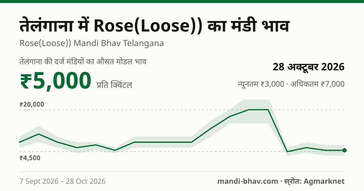 तेलंगाना में Rose(Loose)) का मंडी भाव 28 अक्टूबर 2026: औसत मोडल ₹5,000 प्रति क्विंटल, भाव के रुझान का चार्ट