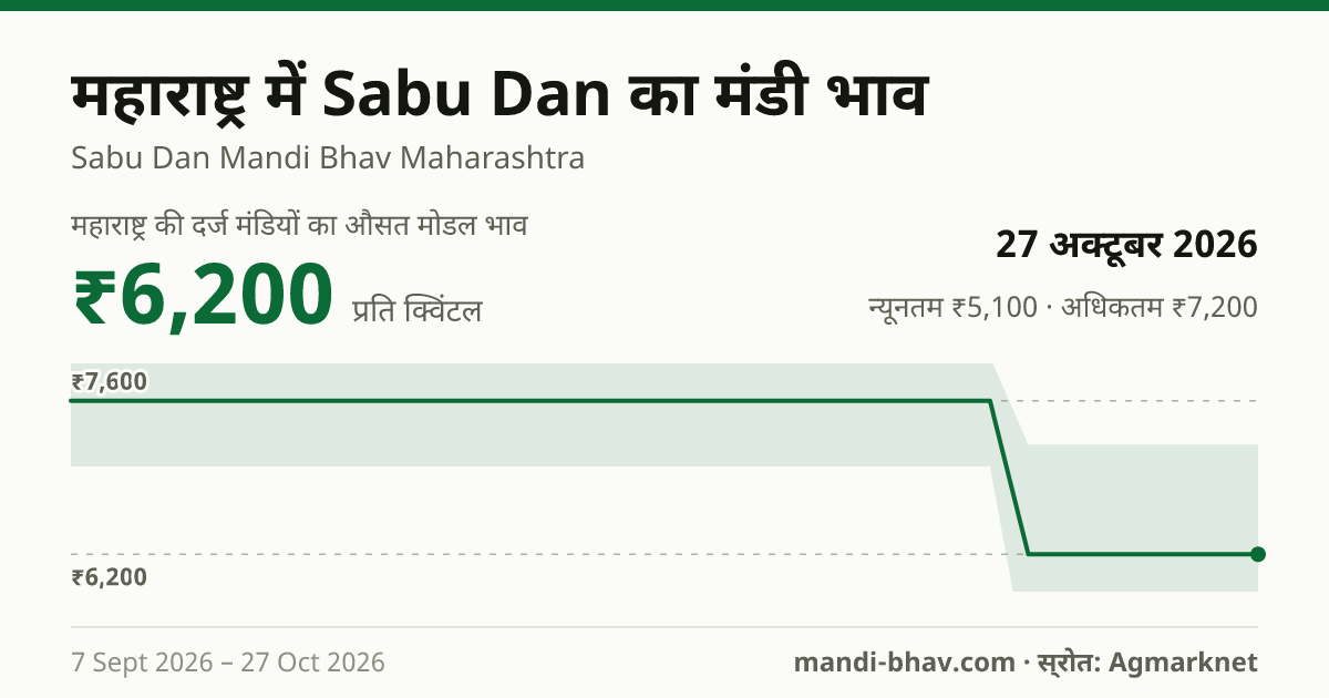 महाराष्ट्र में Sabu Dan का मंडी भाव 27 अक्टूबर 2026: औसत मोडल ₹6,200 प्रति क्विंटल, भाव के रुझान का चार्ट