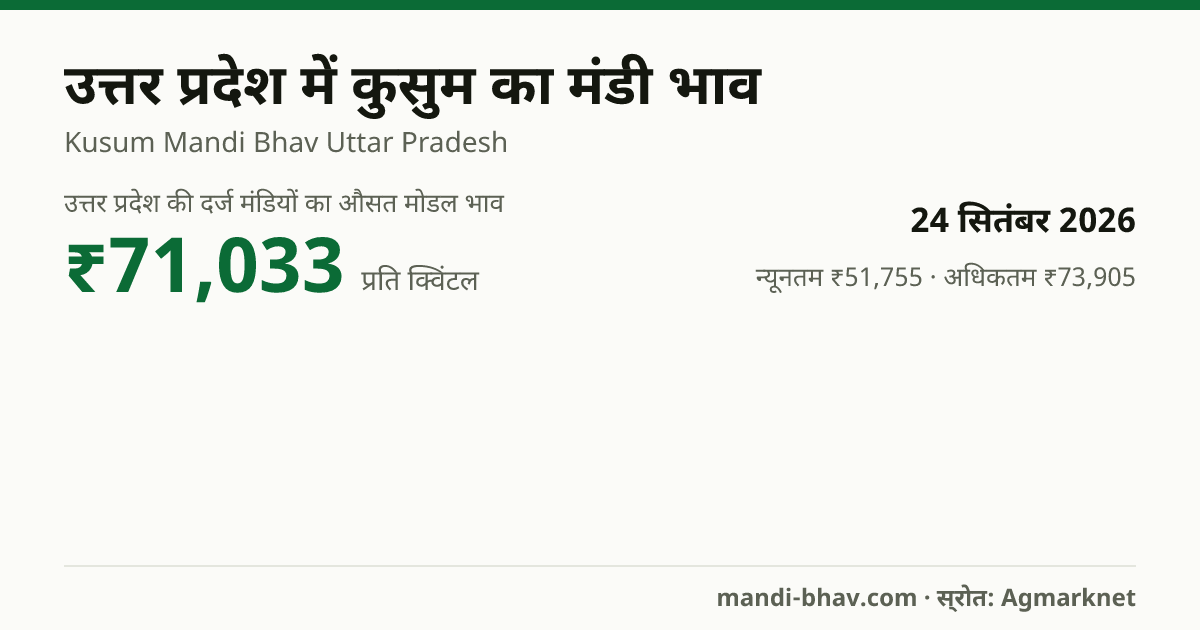 उत्तर प्रदेश में कुसुम का मंडी भाव 24 सितंबर 2026: औसत मोडल ₹71,033 प्रति क्विंटल, भाव के रुझान का चार्ट