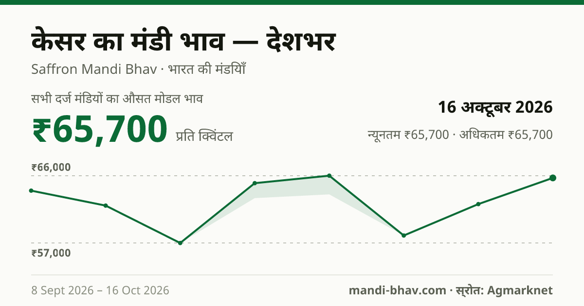 देशभर में केसर का मंडी भाव 16 अक्टूबर 2026: औसत मोडल ₹65,700 प्रति क्विंटल, भाव के रुझान का चार्ट